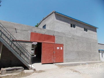 女短裤 服装与面辅料的完美结合